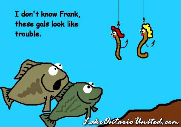funny cartoon fish 12