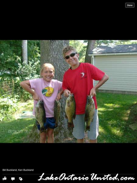 We hammered the smallies