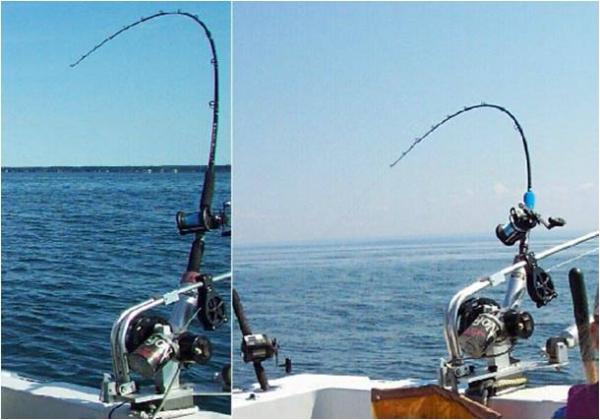 Daiwa 9' 12-30lb North Coast Down Rigger Trolling Fishing Rod