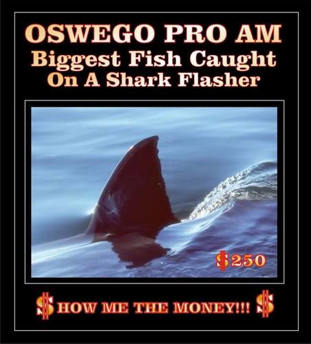Shark $250.jpg