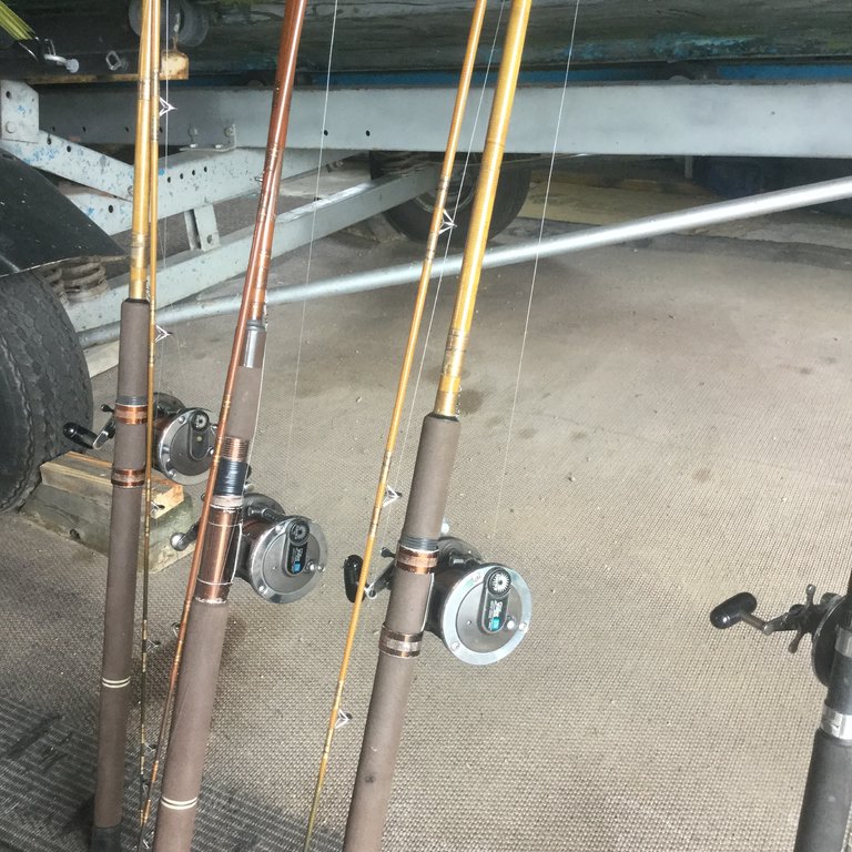 4 Daiwa Sealine 27H reels Plus rods-$120 - Classifieds - Buy, Sell, Trade  or Rent - Lake Ontario United - Lake Ontario's Largest Fishing & Hunting  Community - New York and Ontario Canada