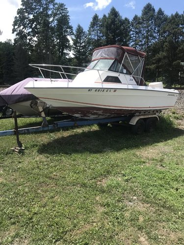 1982 Chaparral 204 Walkaround Cuddy Cabin - Boats for Sale - Lake ...