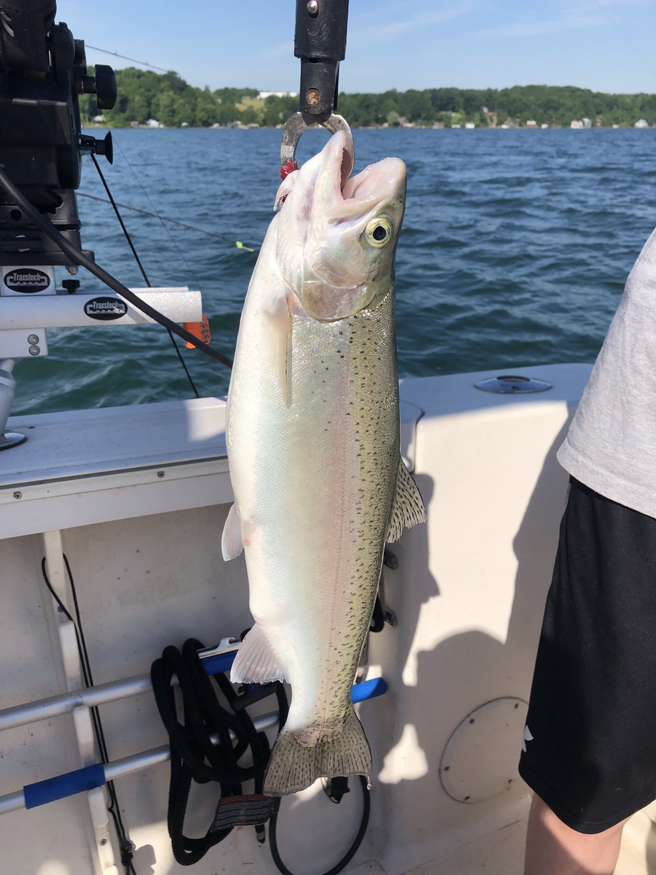 Jigging for trout - Finger Lakes Discussion - Lake Ontario United - Lake  Ontario's Largest Fishing & Hunting Community - New York and Ontario Canada