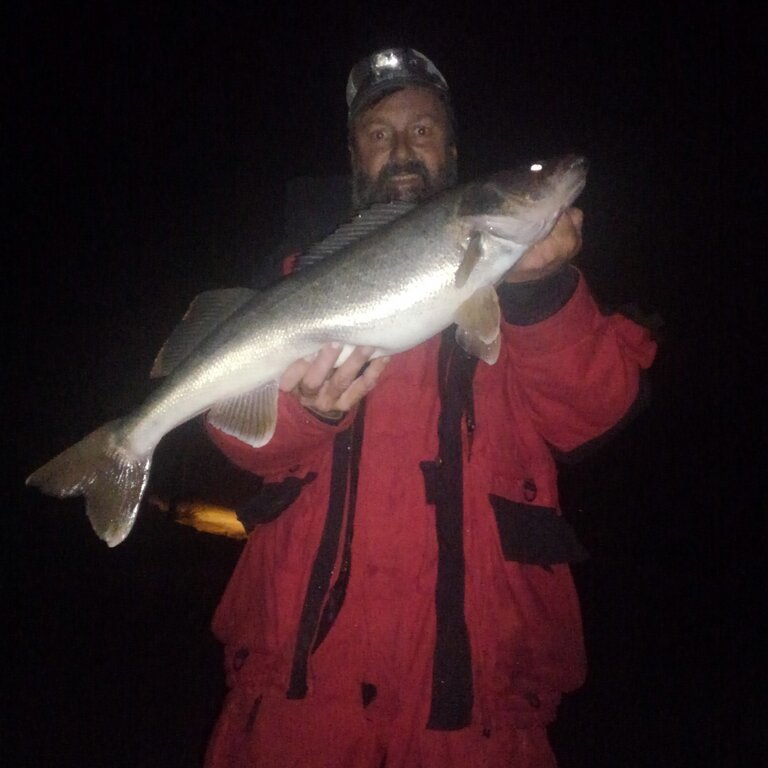 Night Trolling for Walleye - Ontario Walleye Fishing