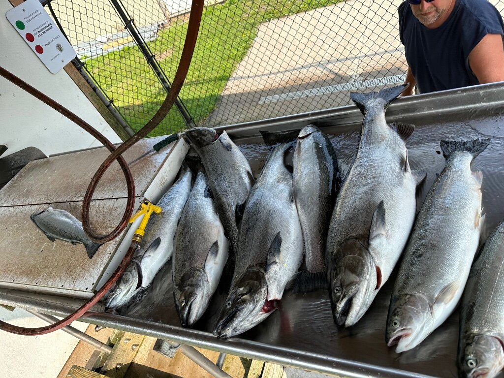 Wire vs copper - Salmon Pro's Connection - Great Lakes Fisherman - Trout,  Salmon & Walleye Fishing Forum