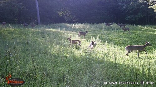 Food Plot Party.JPG