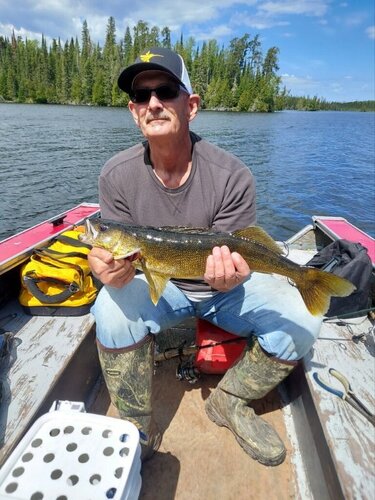 26 inch nice walleye.JPG