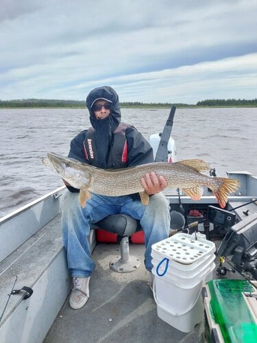 41 inch pike.JPG