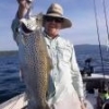 SPEEDY SHINER LURES - Classifieds - Buy, Sell, Trade or Rent - Lake Ontario  United - Lake Ontario's Largest Fishing & Hunting Community - New York and  Ontario Canada